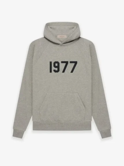 Hoodie Grey